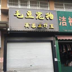 毛豆宠物美容工作室:南宁市江南区10+1商业大道附近