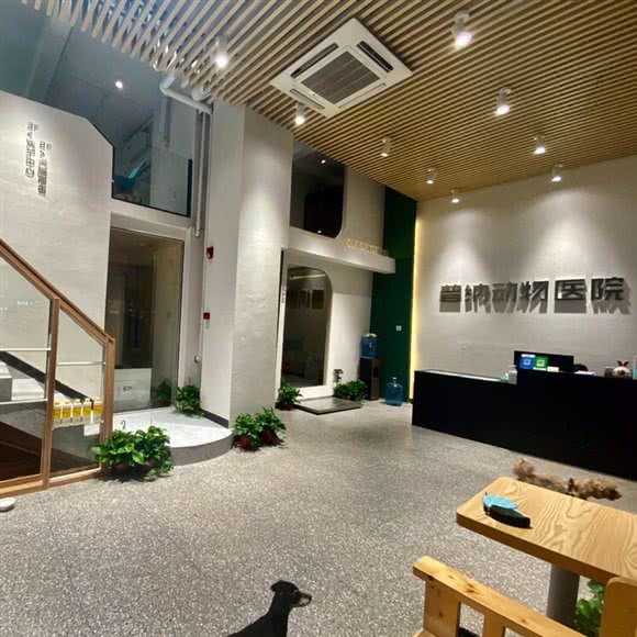 普纳动物医院·24H诊疗中心:南宁市江南区10+1商业大道附近