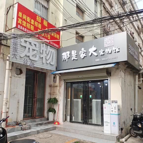 那是家大宠物馆:南宁市江南区星光大道附近