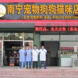 南宁宠物狗狗猫咪店:南宁市江南区星光大道附近