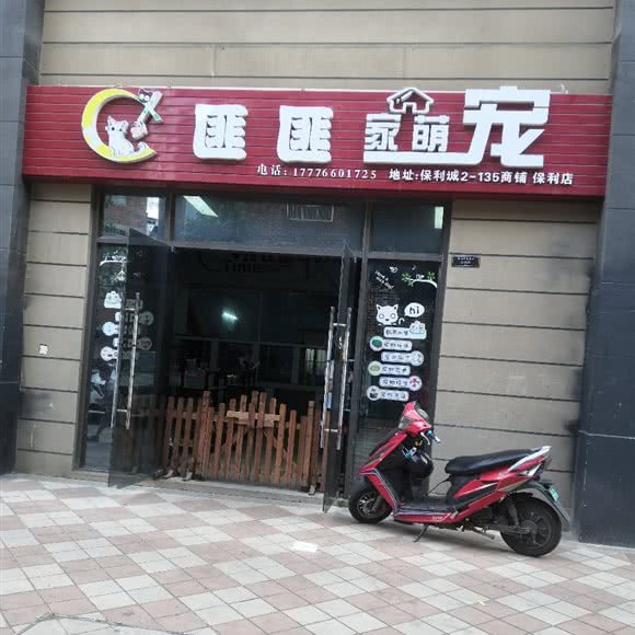 匪匪家萌宠:南宁市江南区五一路附近