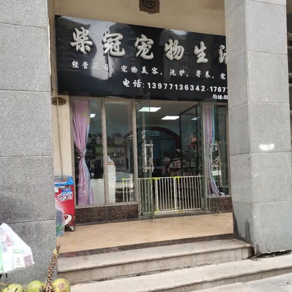 柴冠狗狗生活馆:南宁市江南区五一路附近