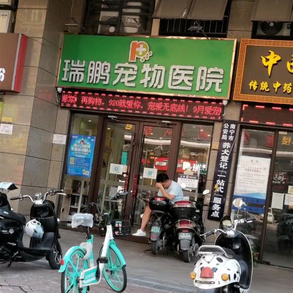 瑞鹏宠物医院:南宁市江南区五一路附近