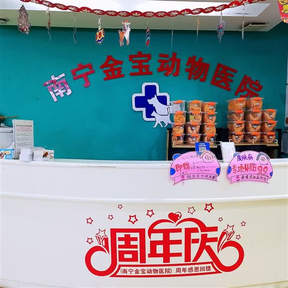 金宝动物医院:南宁市江南区五一路附近