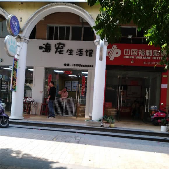 Hi pet嗨宠生活馆:南宁市江南区普罗旺斯附近