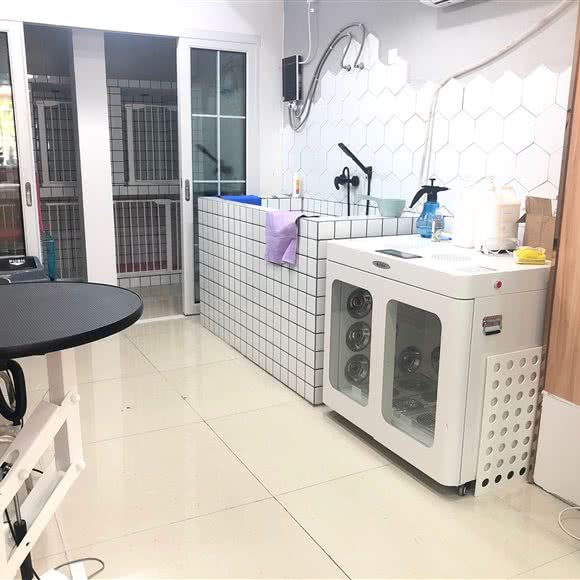 宠里狗狗生活馆:南宁市江南区普罗旺斯附近