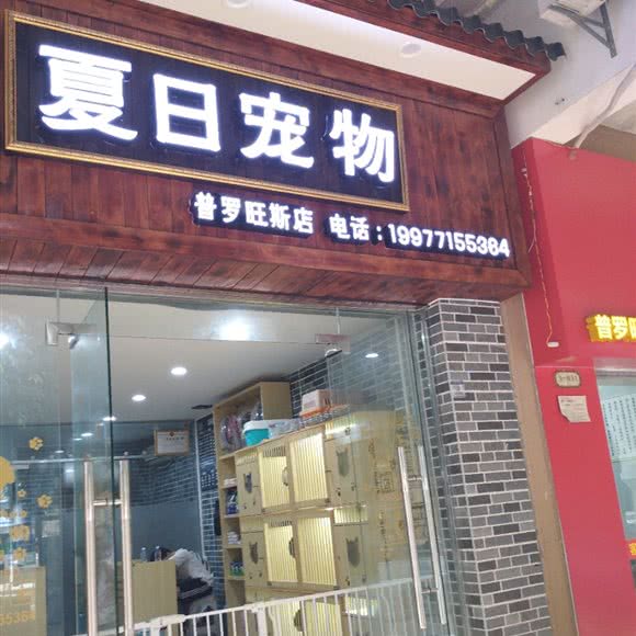夏日宠物(普罗旺斯店):南宁市江南区普罗旺斯附近