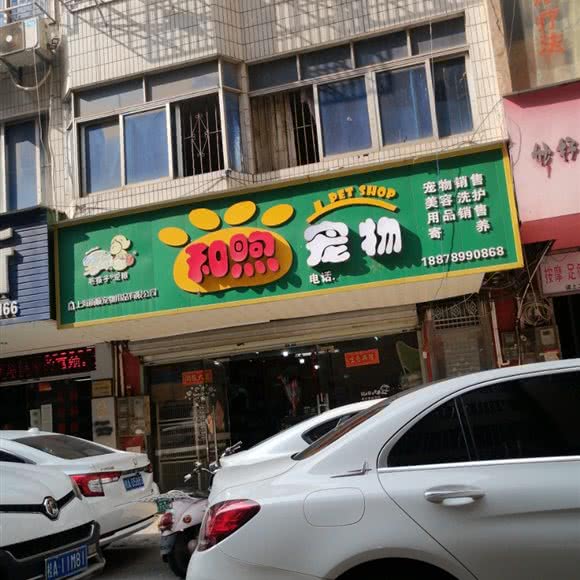 和煦宠物:南宁市江南区华南城商圈附近