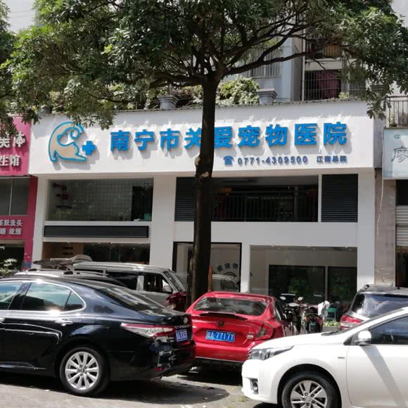 南宁市关爱宠物医院(江南总院):南宁市江南区华南城商圈附近