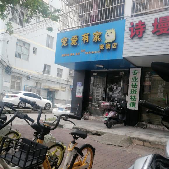 宠物有家:南宁市江南区江南万达附近