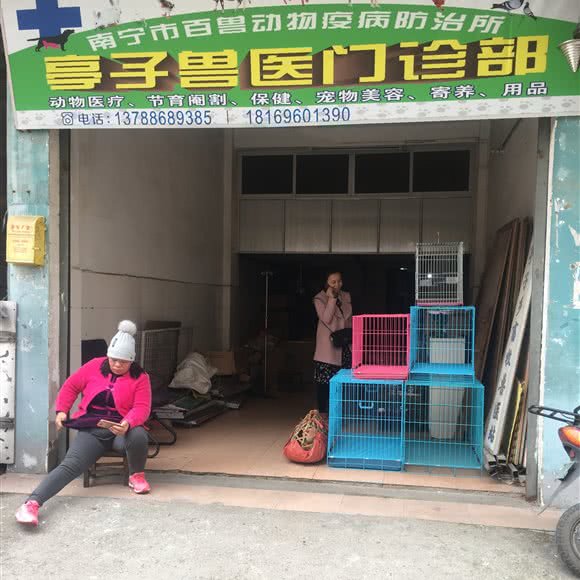 亭子兽医门诊部:南宁市江南区江南万达附近