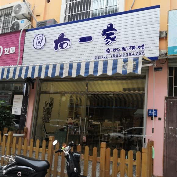 向一家宠物生活馆:南宁市江南区荣宝华附近