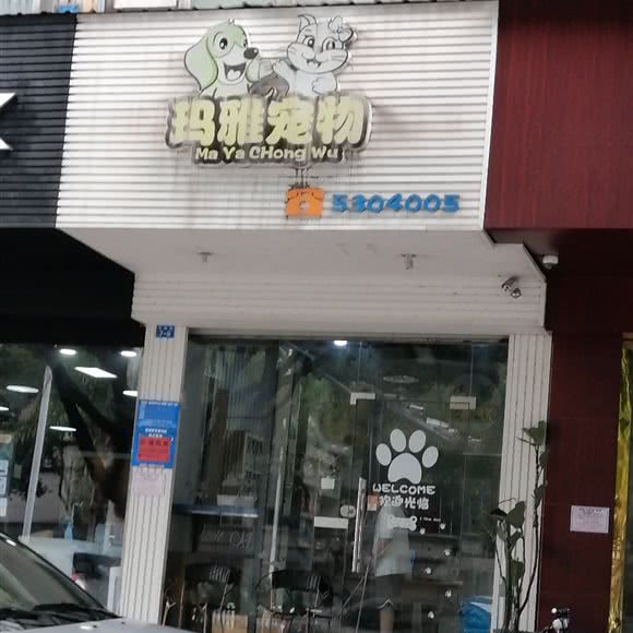 玛雅宠物:南宁市江南区亭江百货附近