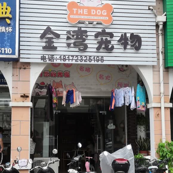 金湾宠物:南宁市江南区亭江百货附近