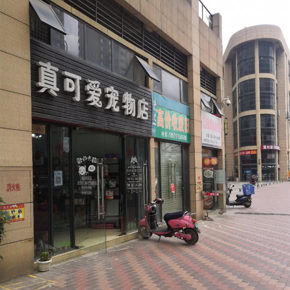 真可爱宠物店:南宁市江南区那洪大道附近