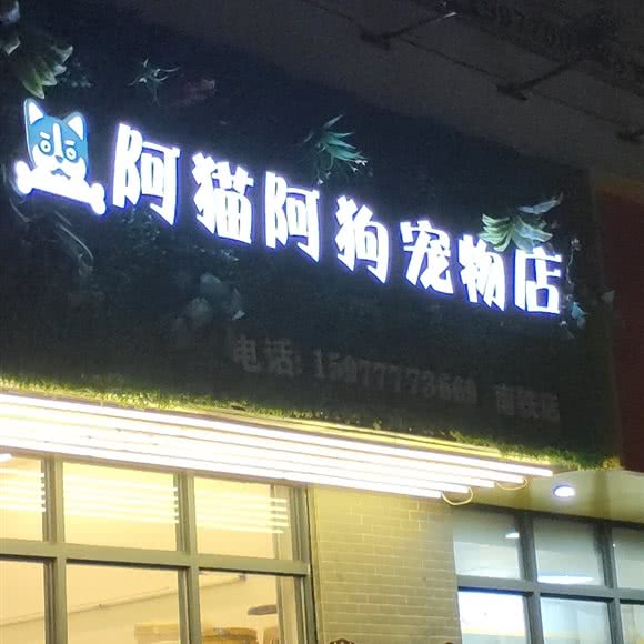 阿猫阿狗宠物店(南铁店):南宁市西乡塘区正恒国际广场附近