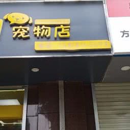 挑猫逗狗宠物店:南宁市西乡塘区北湖附近