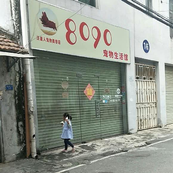 8090宠物狗生活馆:南宁市西乡塘区北湖附近