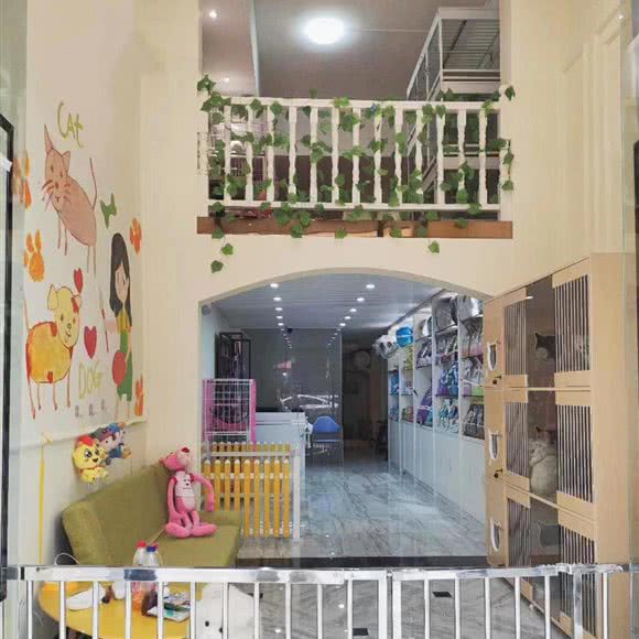 南宁市开心喵汪宠物馆:南宁市西乡塘区北湖附近