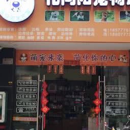 花向阳宠物馆:南宁市西乡塘区北湖附近