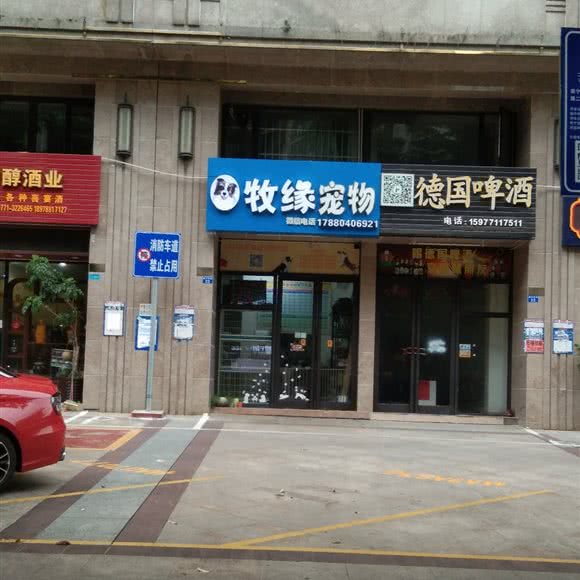 牧缘宠物:南宁市西乡塘区鲁班路附近