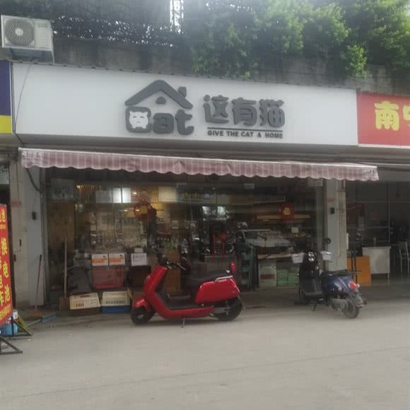 这有猫:南宁市西乡塘区鲁班路附近