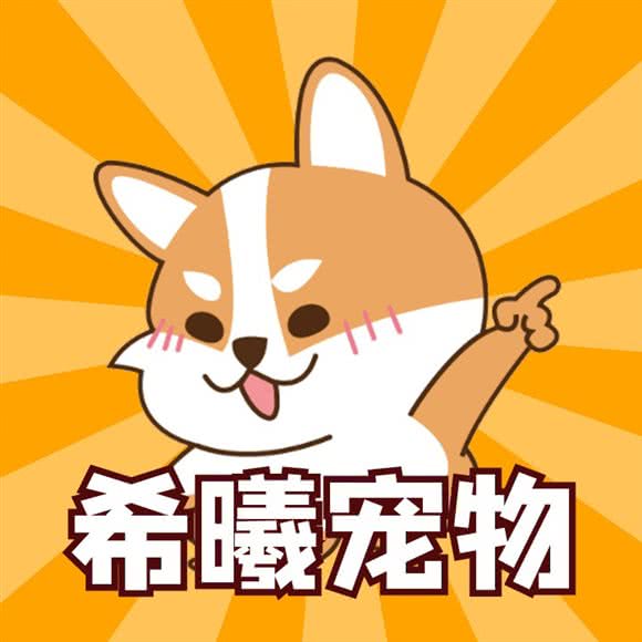 希曦宠物医院:南宁市西乡塘区鲁班路附近