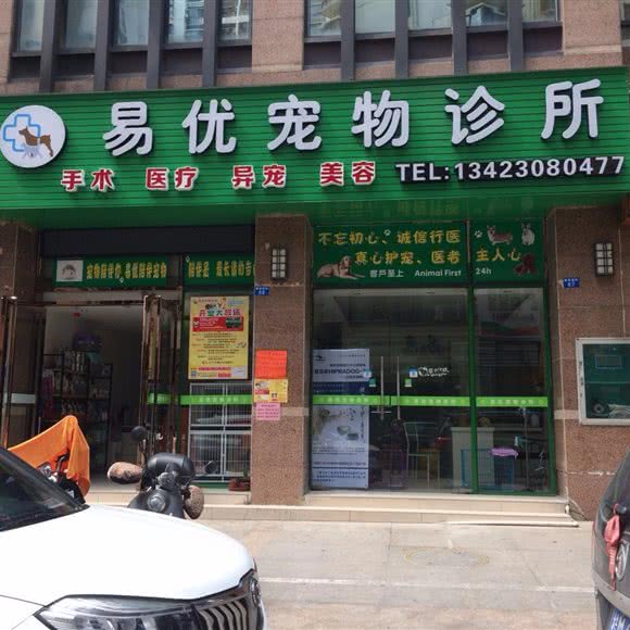 南宁市易优宠物诊所:南宁市西乡塘区鲁班路附近