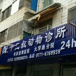 十二叔动物医院:南宁市西乡塘区大学路附近