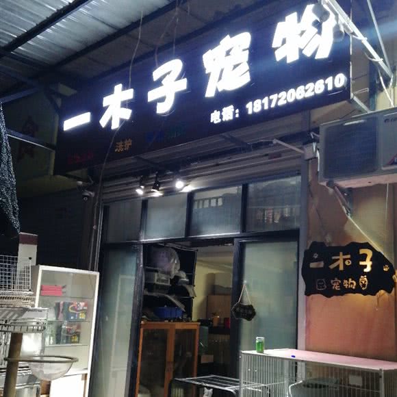一木子宠物:南宁市西乡塘区安吉路/万达SOHO附近
