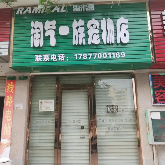 淘气一族宠物店:南宁市西乡塘区安吉路/万达SOHO附近