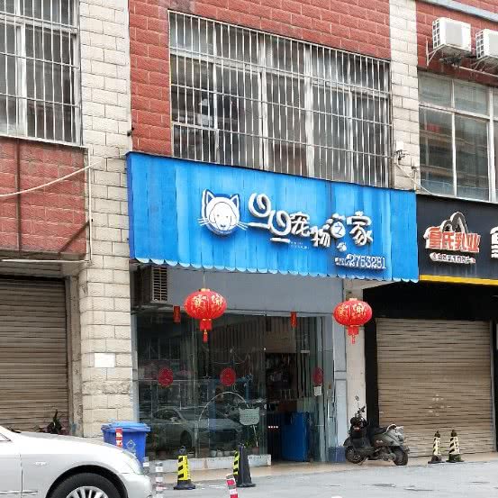 旦旦宠物之家(棕榈湾店):南宁市西乡塘区安吉路/万达SOHO附近