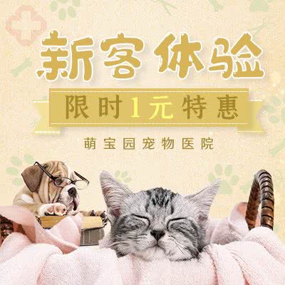 萌宝园宠物医院:天津城区滨海新区泰达MSD附近