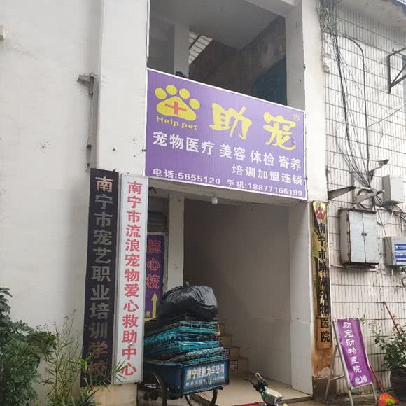 南宁市流浪宠物爱心救助中心:南宁市西乡塘区安吉路/万达SOHO附近