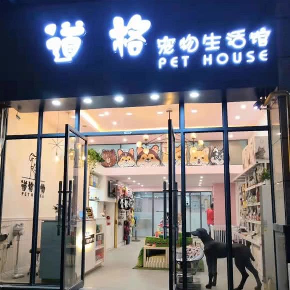 道格宠物生活馆:南宁市西乡塘区秀灵路附近