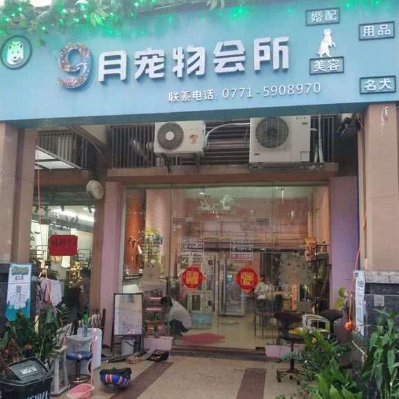 乖萌宠物会所:南宁市西乡塘区秀灵路附近