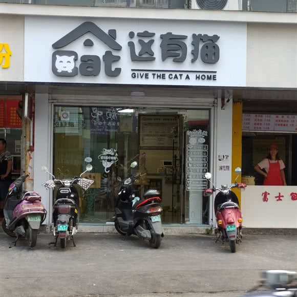 这有猫(西大东门店):南宁市西乡塘区秀灵路附近