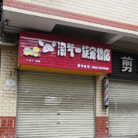 淘气一族宠物店:南宁市西乡塘区明秀路附近