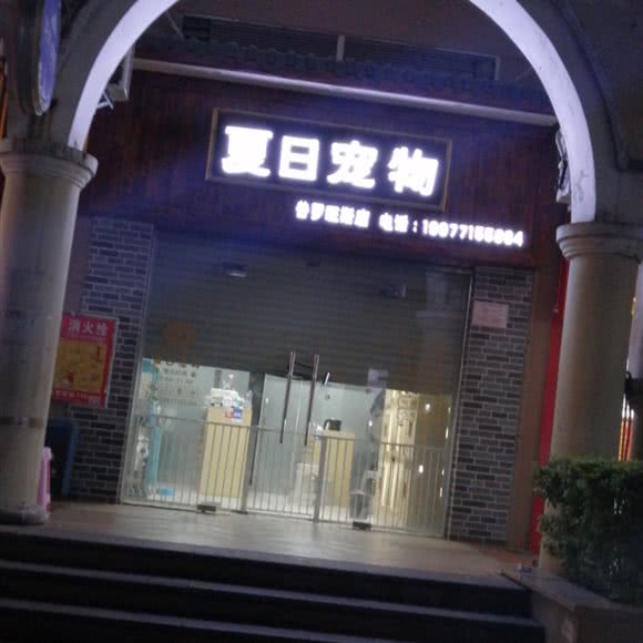 夏日宠物:南宁市西乡塘区火车站附近