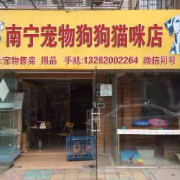 南宁宠物狗狗猫咪店:南宁市西乡塘区火车站附近
