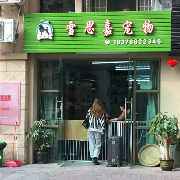 雪思嘉宠物:南宁市西乡塘区高新区附近