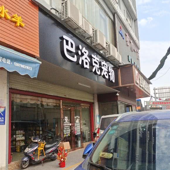 巴洛克宠物狗:南宁市西乡塘区友爱路附近