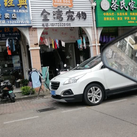金湾宠物:南宁市西乡塘区友爱路附近