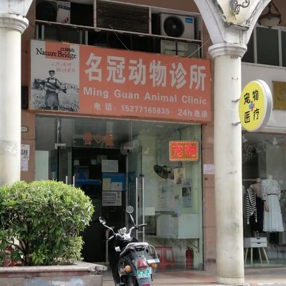 名冠动物诊所:南宁市西乡塘区友爱路附近