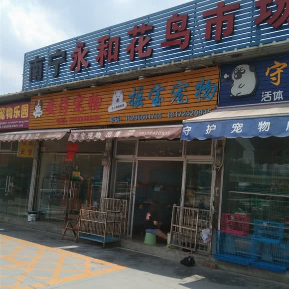 安仔宠物:南宁市西乡塘区江北大道附近