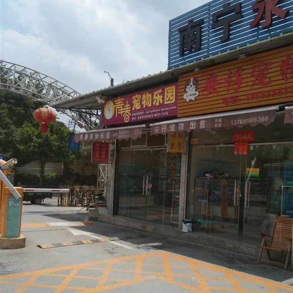 青春宠物乐园:南宁市西乡塘区江北大道附近