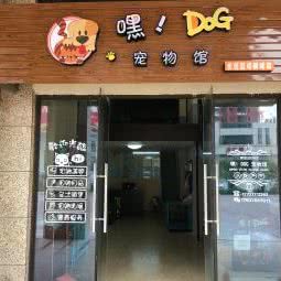嘿!DOG宠物馆(相思湖店):南宁市西乡塘区西乡塘客运站附近
