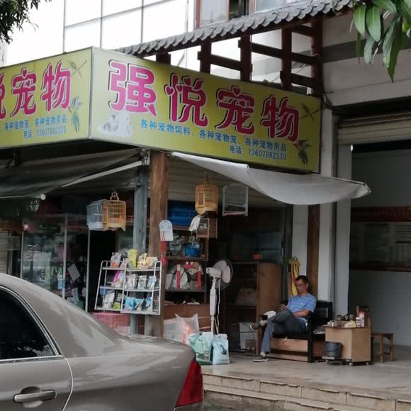 强悦宠物:南宁市良庆区大沙田附近