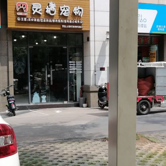 灵栖宠物:南宁市良庆区大沙田附近