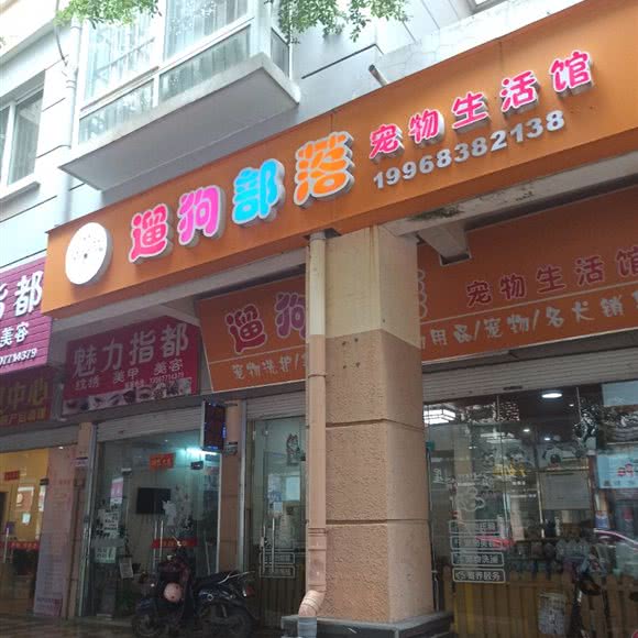 遛狗部落:南宁市良庆区大沙田附近